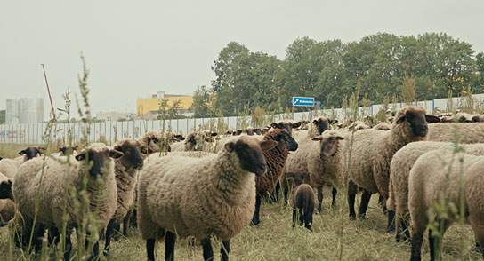 "We Are All Detroit - Vom Bleiben und Verschwinden" (2021); Quelle: filmproduktion loekenfranke, DFF, © filmproduktion loekenfranke