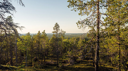 "Tics - Mit Tourette nach Lappland" (2021)