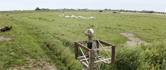 "Nordlicht - Der Nordsee Film" (2022)