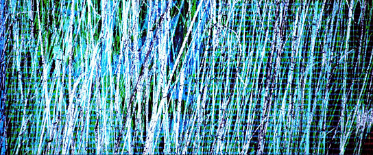 "Collage IV - Interferenzen" (1979)
