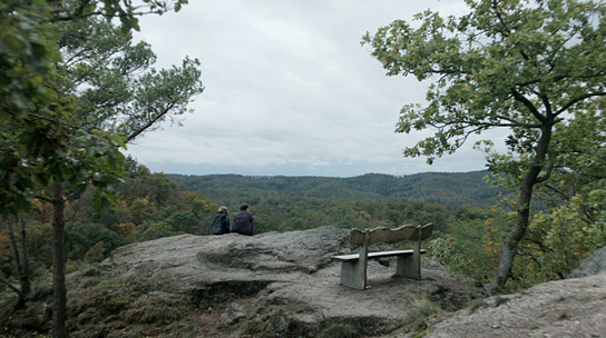 "Blätterdach" (2021)