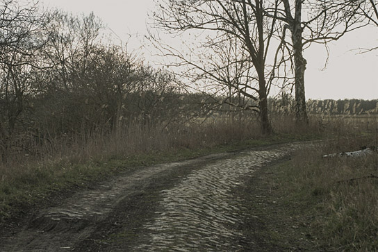 "Nicht verRecken" (2021)