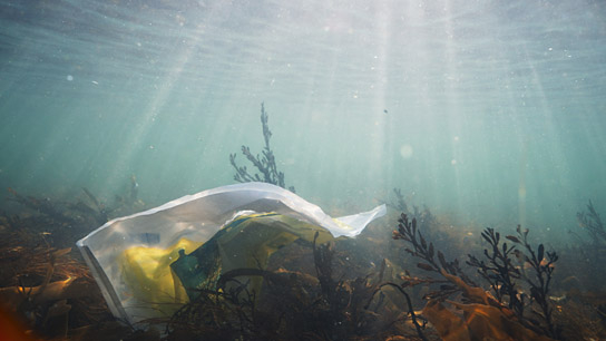 "The North Drift - Plastik in Strömen" (2021)