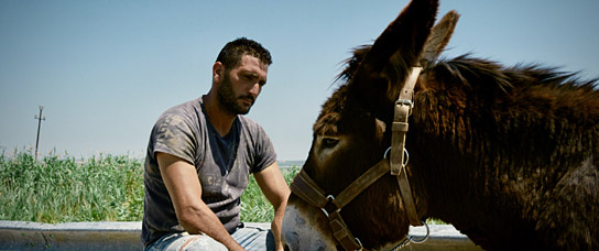 "Tara" (2022)