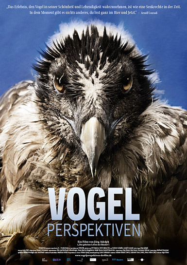 Filmplakat von "Vogelperspektiven" (2022)