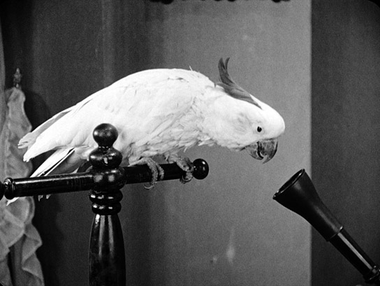 Screenshot aus "Die Tragödie einer Uraufführung. (Wenn die Kleberin gebummelt hat.)" (1926)