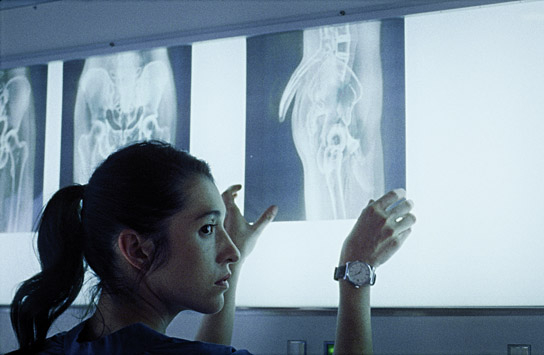 Simone Bucio in "Piaffe" (2022)
