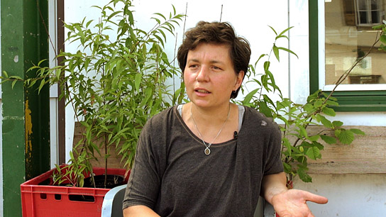 "Alte Seegrasspinnerei - Ökologisches, soziales und kulturelles Zentrum" (2023)