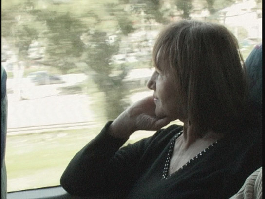 "Hotel Migration" (2008)