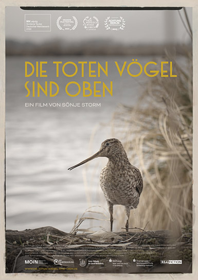 "Die toten Vögel sind oben" (2022)