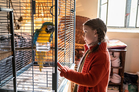 Pola Friedrichs in "Kommt ein Vogel geflogen" (2023)