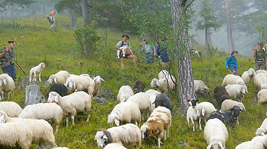 "Schafstage - Im Karwendel mit den Mittenwalder Schäfern" (2023)