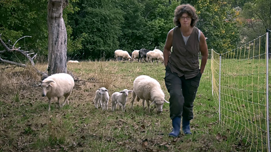 "Menschen und Tiere" (2023)