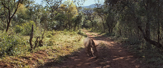 "Thabo - Das Nashorn-Abenteuer" (2023)