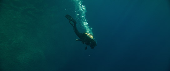 "The Dive" (2023)
