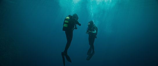 "The Dive" (2023)