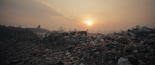 "Plastic Fantastic" (2023)
