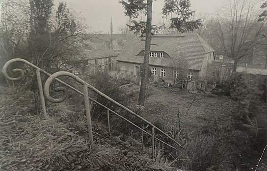 "Wenn man alte Bäume verpflanzt" (1987)