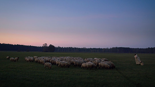 "Im Land der Wölfe" (2023)