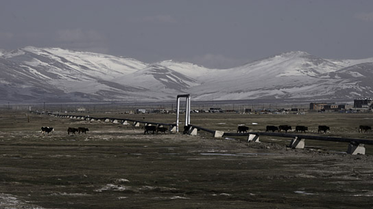 "Landshaft" (2023)