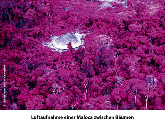 "Die Vision der Claudia Andujar" (2024)
