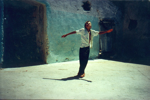 "Vaterland" (1992)