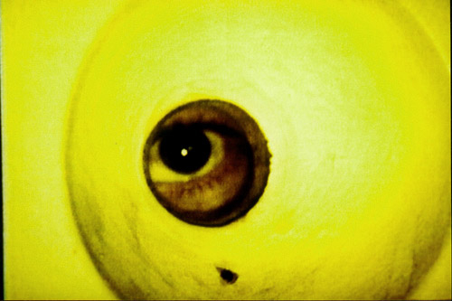 Zellentür in Bautzen in "Jahre der Kälte" (1994)