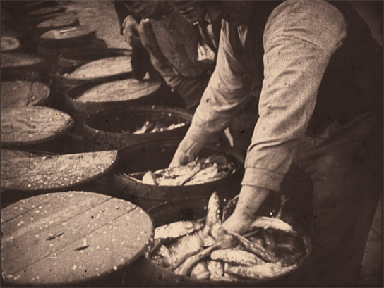 "Silberne Meeresbeute. Fischfang in der Nordsee" (1928)