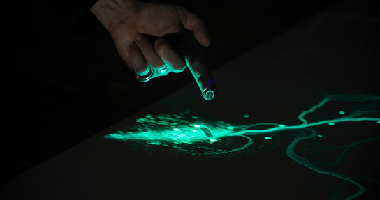 Tracing Light - Die Magie des Lichts" (2024)