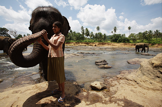 "Chandani und ihr Elefant" (2010)