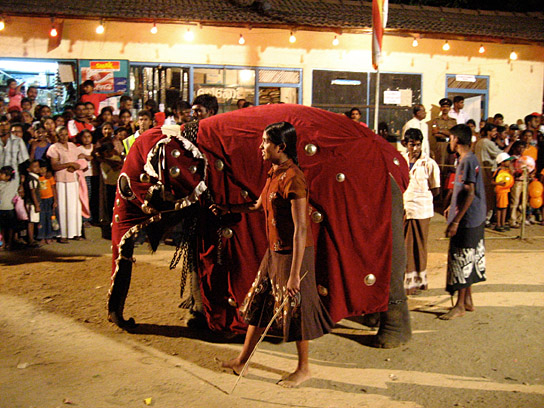 "Chandani und ihr Elefant" (2010)