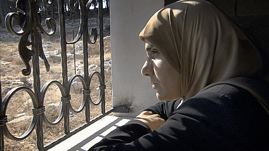 "Das Herz von Jenin" (2008)