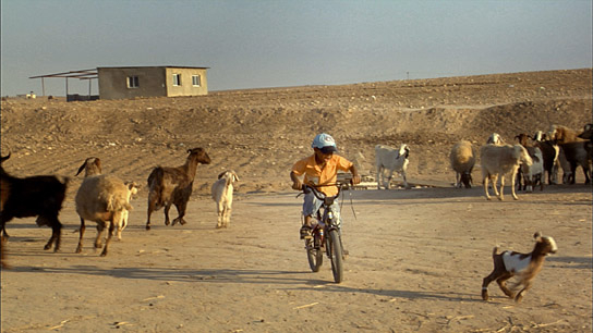 "Das Herz von Jenin" (2008)