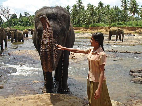 "Chandani und ihr Elefant" (2010)