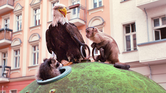 "Akiko, der fliegende Affe" (2024)