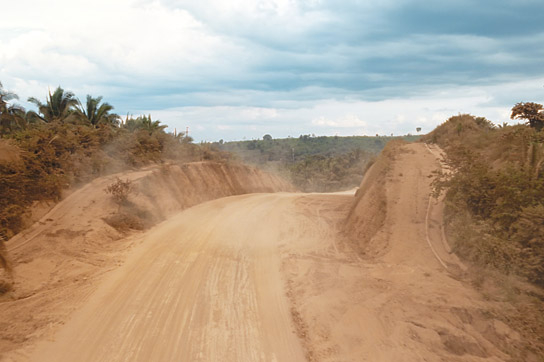 "Transamazonia" (2024)