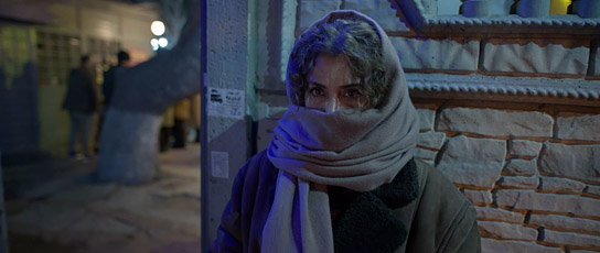 Vishka Asayesh in "Sieben Tage" (2024)