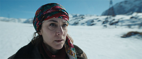 Vishka Asayesh in "Sieben Tage" (2024)
