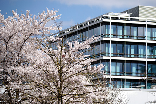 Bürosiedlung Tucherpark, München in "Sep Ruf – Architekt der Moderne" (2025)
