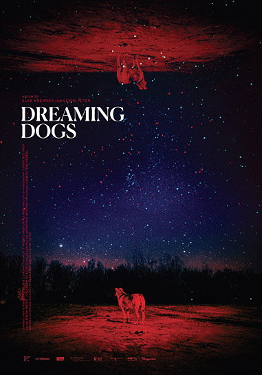Filmplakat von "Dreaming Dogs" (2024)