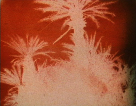 "Die Geburt der Nation" (1973)