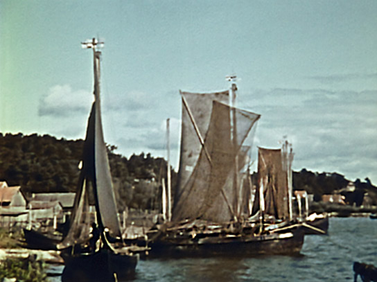 Kurenkähne in Purwin auf der Kurischen Nehrung, 1944. Aus einem Naturfilm in 16mm Agfacolor von Herbert Ecke, Sachbearbeiter von der Reichsstelle für Naturschutz in Berlin. ("Ostpreußen - Entschwundene Welt", 2025)