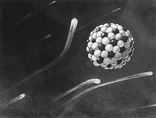 "Der Griff nach dem Atom" (1949)