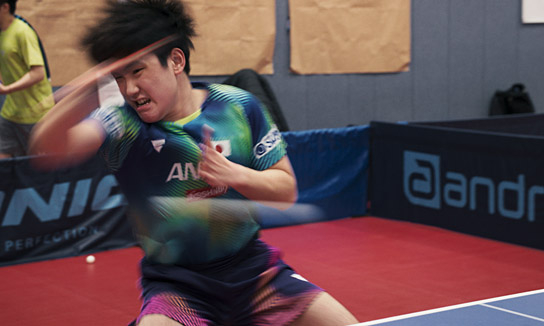 "Ping Pong Paradise" (2025)