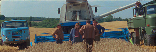 "Rote Sterne überm Feld" (2024)