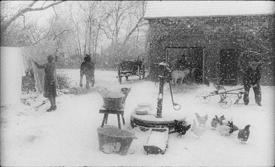 "Rote Sterne überm Feld" (2024)