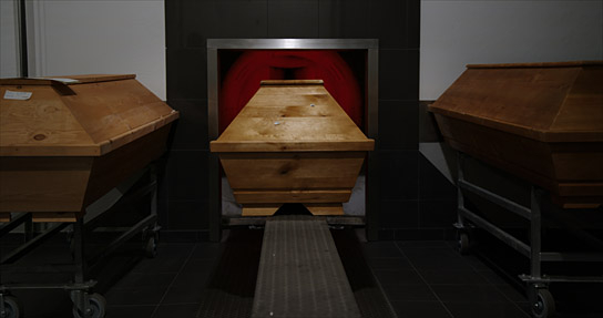 "Der Tod ist ein Arschloch" (2024)