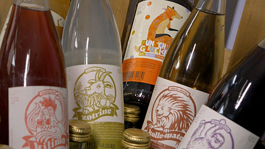 "Ohne Chefs - Demokratie bei der Arbeit" (2025)