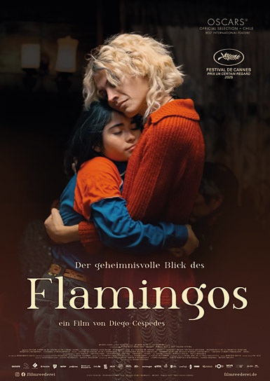 Filmplakat von "Der geheimnisvolle Blick des Flamingos" (2025)