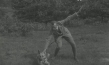 Screenshot aus "Hüter der Ordnung"